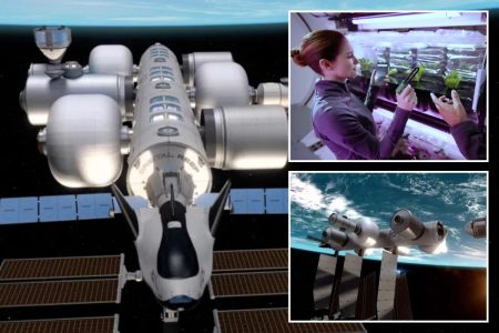 يريد جيف بيزوس إرسال البشر للعيش في الفضاء، وهذا ما سيبدو عليه الأمر