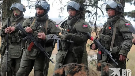 قوات كوريا الشمالية تزيل ألغاما في منطقة كورسك الروسية في إطار التعاون.