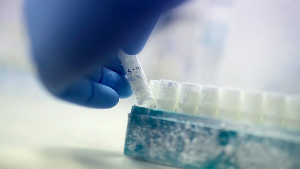 هل ترفض بنوك الحيوانات المنوية في الدنمارك متبرعين بناءً على معدل ذكائهم؟