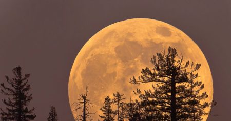 القمر البارد ليوم الخميس هو آخر قمر عملاق (Supermoon) لهذا العام.