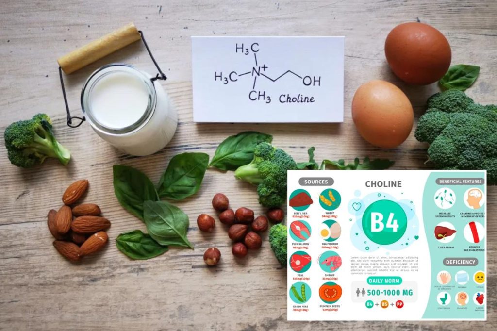 علماء يكتشفون نقصًا غذائيًا دماغيًا أساسيًا لدى مصابي القلق في الأطعمة اليومية.