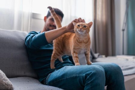 أدبي عزيزي: كذب صديق بشأن رعاية قطتي أثناء سفري.