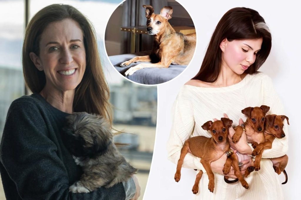 رجل ينفق 50 ألف دولار على استنساخ كلبه النافق (Dog Cloning).