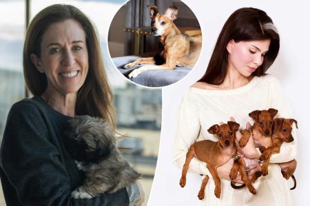 رجل ينفق 50 ألف دولار على استنساخ كلبه النافق (Dog Cloning).