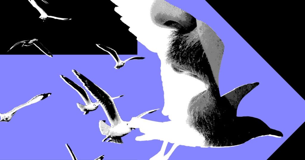 أكثر المؤثرين السياسيين نفوذاً ينشرون محتوى سياسياً نادراً.