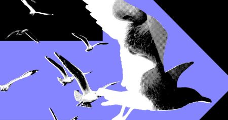 أكثر المؤثرين السياسيين نفوذاً ينشرون محتوى سياسياً نادراً.