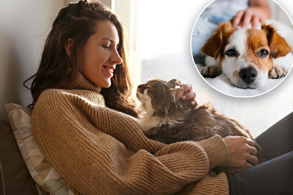 أكثر التغيرات السلوكية التي تقلق أصحاب الحيوانات الأليفة: استطلاع.