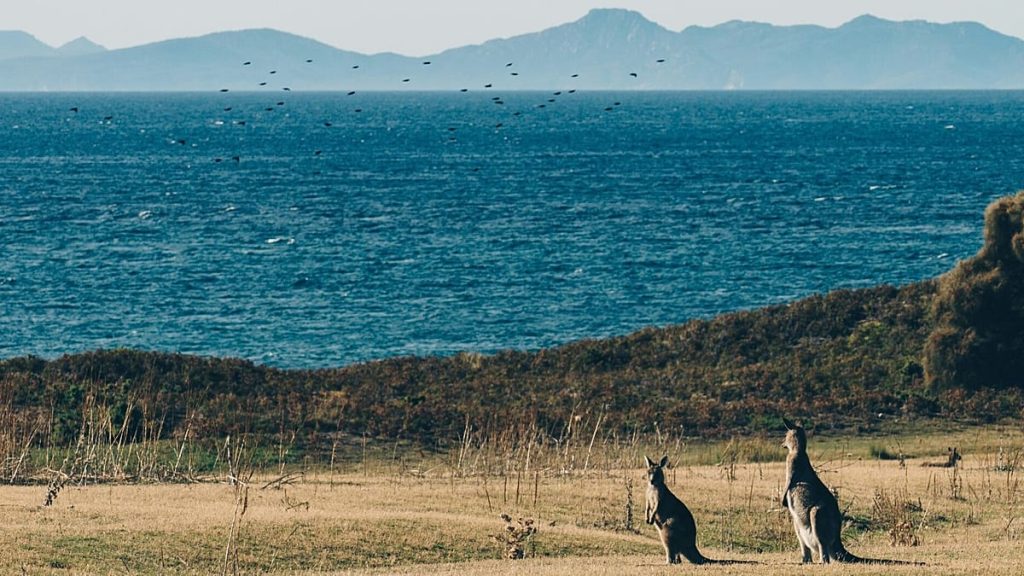 كيف أرسل موقع سفر مُنشأ بالذكاء الاصطناعي سياحًا إلى عين ماء حارة وهمية.