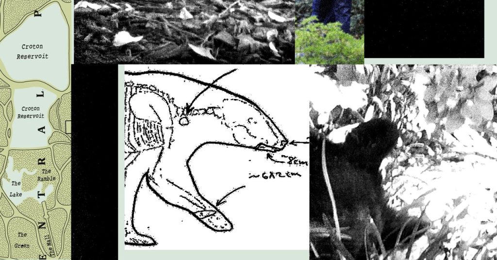 وثائق جديدة تكشف الفوضى التي تركها روبرت كينيدي الابن بعد التخلص من دب ميت في سنترال بارك.