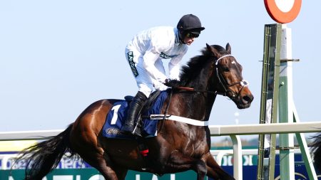 تِلْكَ الهِيل: قد يخوض نجم المدرب نيكي هندرسون (Cheltenham Festival) تحضيراً على المضمار المستوي في ساوثويل بشهر فبراير.